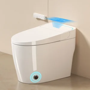 Unique Smart Toilet with Bidet Built In - Thumbnail Image 3