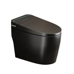 Unique Smart Toilet with Bidet Built In - Thumbnail Image 1